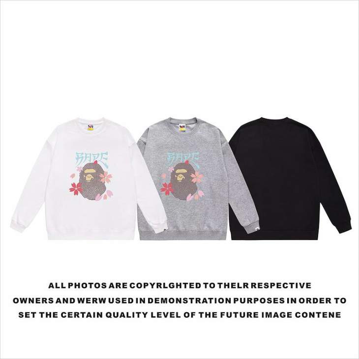Picture of Bape Sweatshirt _SKUBapeS-2XLscqx53630486